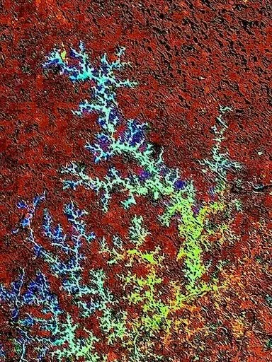 Abstract oil fractal image representing complexity, pattern, and changing conditions.